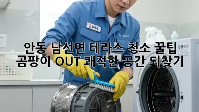 안동 남선면 테라스 청소 꿀팁🍯: 곰팡이 OUT! 쾌적한 공간 되찾기✨
